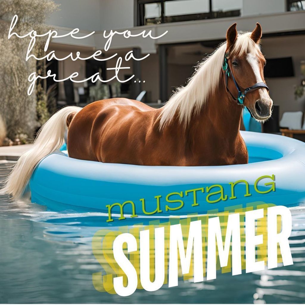 Hope you have a great mustang summer horse in baby pool