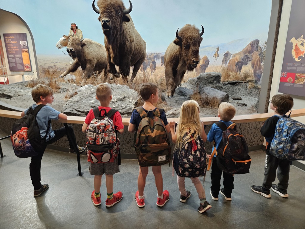 school kids looking at bison museum