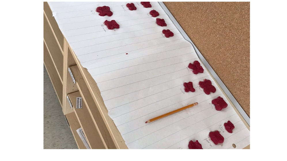 poppy project