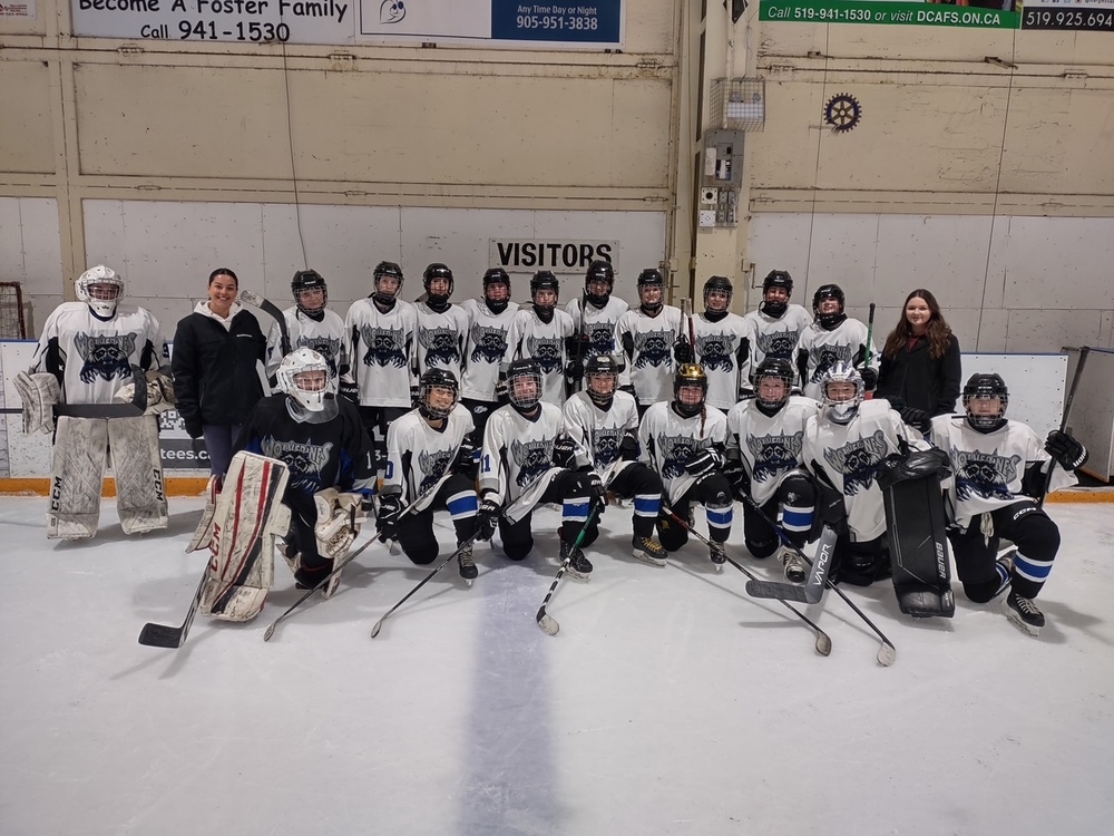Girls hockey