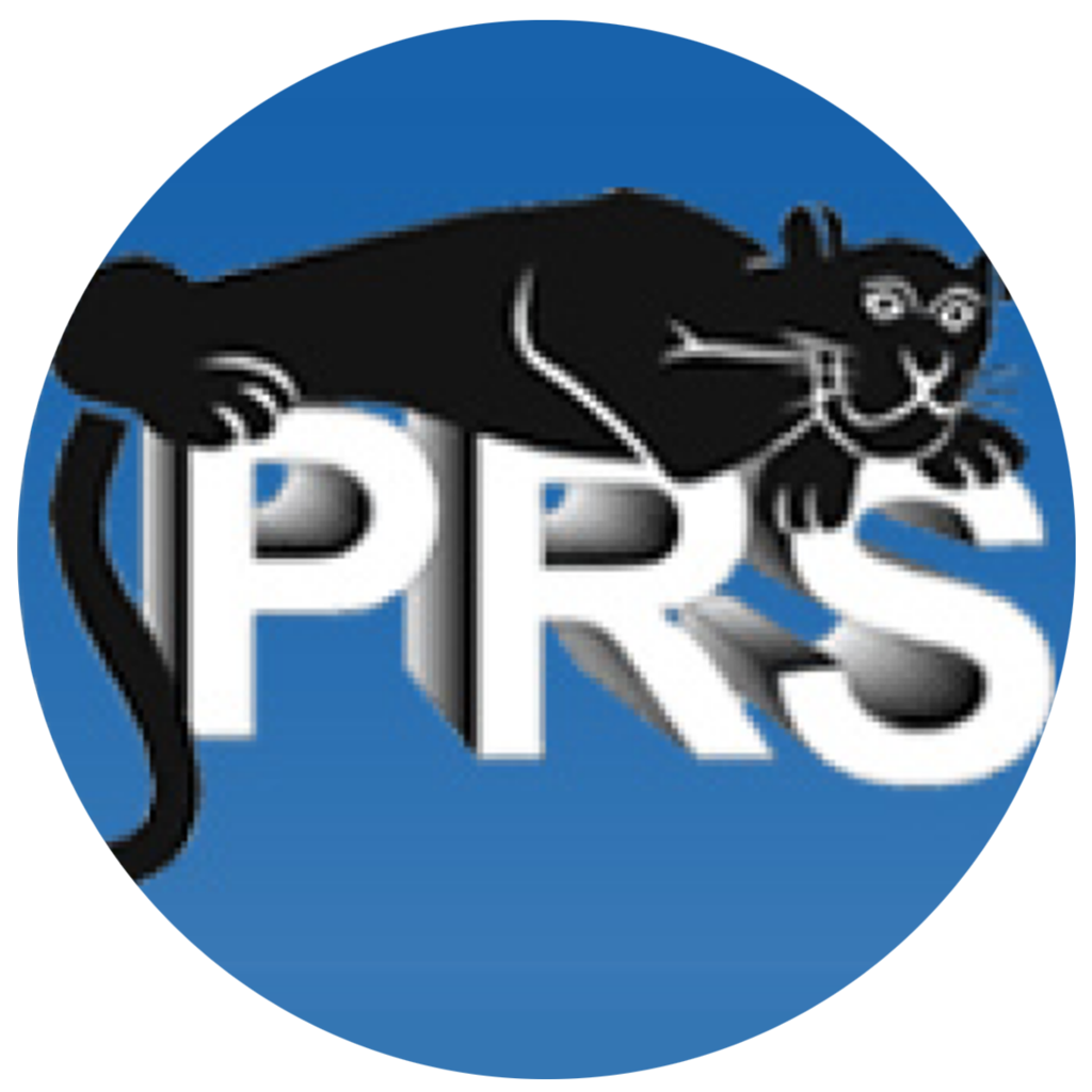 Paisley Logo